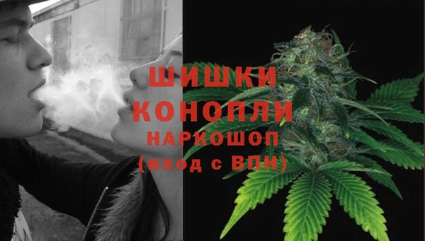 индика Белоозёрский