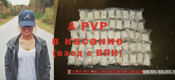 ECSTASY Богородск