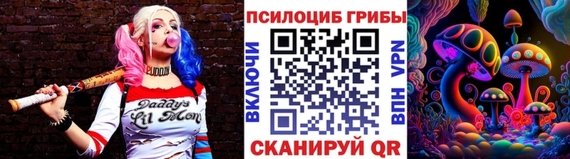 Галлюциногенные грибы Psilocybine cubensis  Купить где  Миасс 