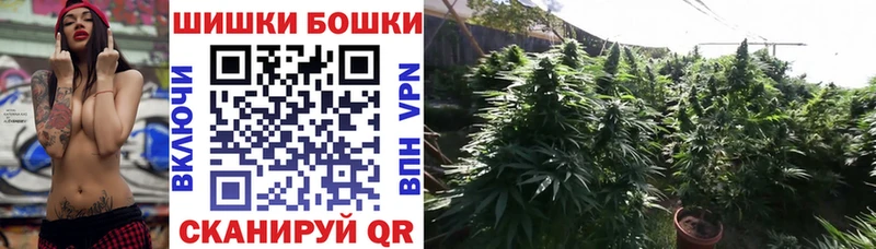 Купить где Миасс МАРИХУАНА White Widow